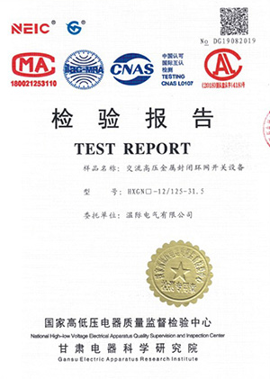 HXGN□-12/125-31.5交流高压金属封闭环网开关设备