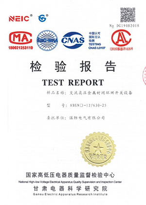 HXGN□-12/630-25交流高压金属封闭环网开关设备